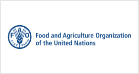 Food and Agriculture Organization of the United Nations 